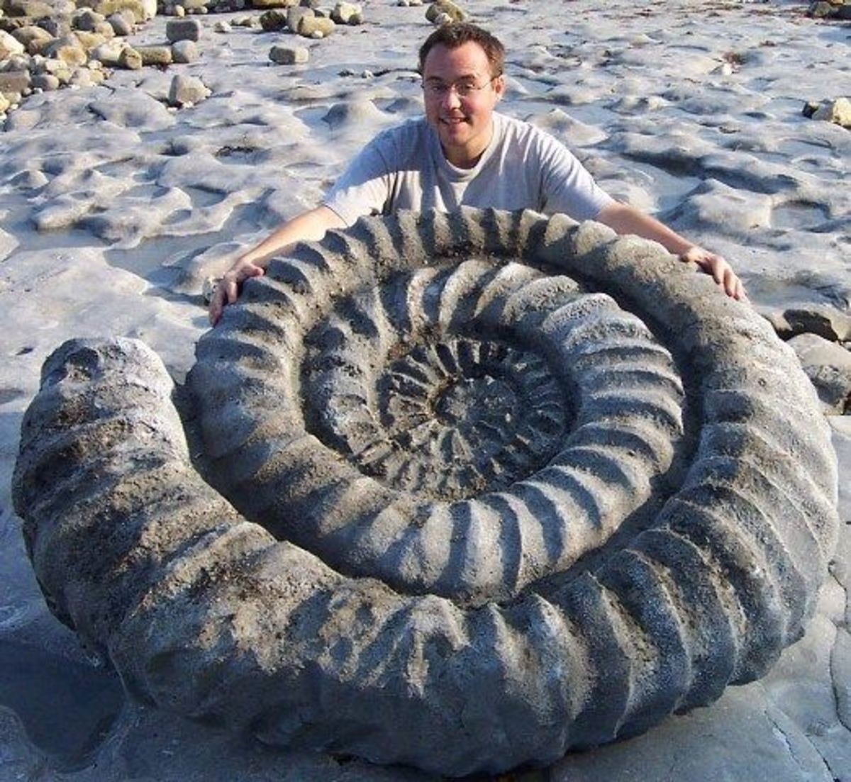 Аммонит Ammonite 2020 фильм